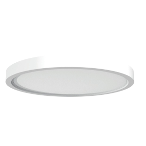 Ceiling Light