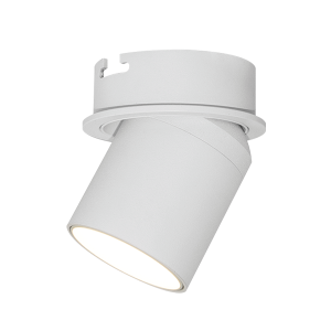 Spot Light