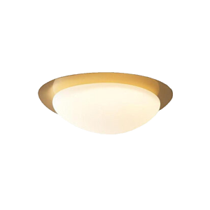 CL22485-28W