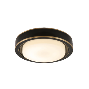 CL22486-24/36W